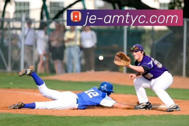 澳门太阳城平台生态图